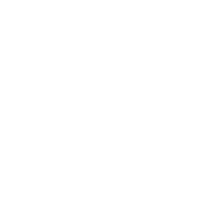 ヘヴィガーディアン