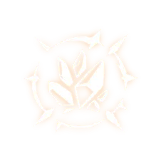 图片_006_07