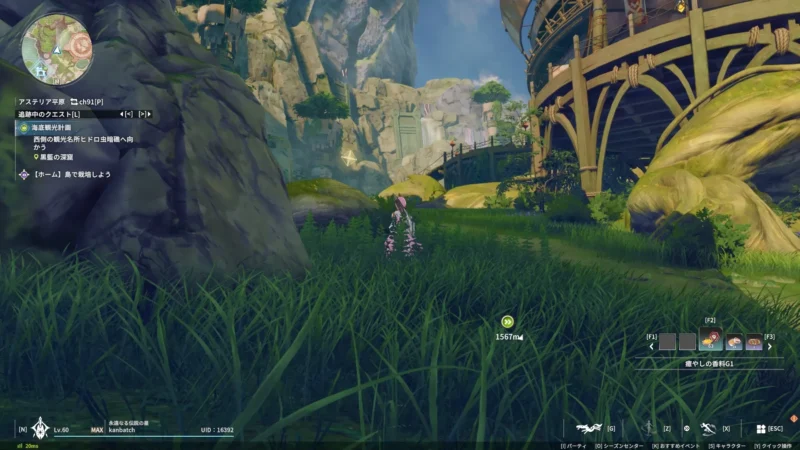 カナミア：湖に向かう道中