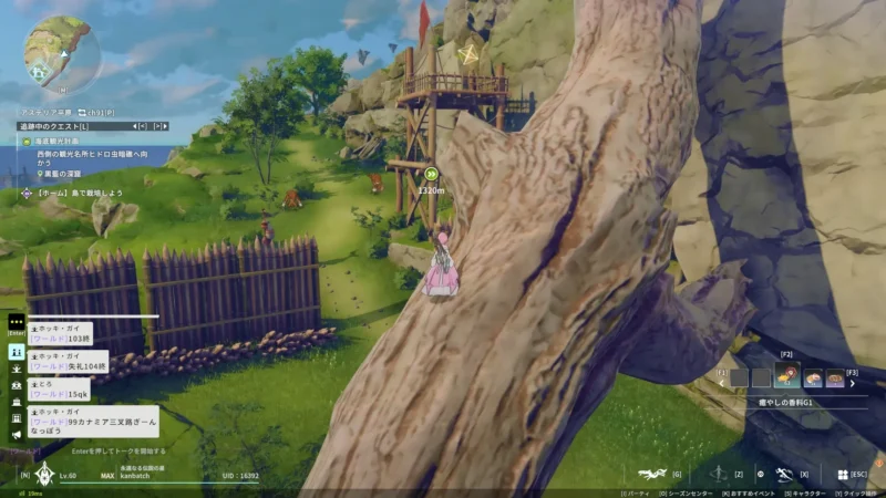 ムークキャンプ