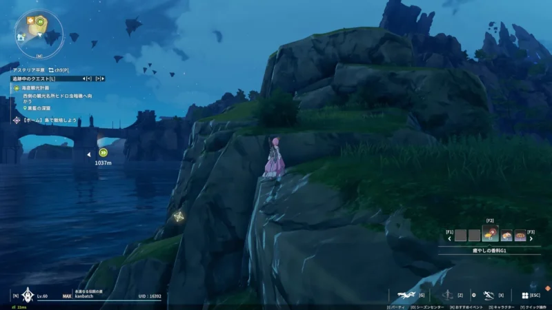 偵察兵の見張り屋：離れ小島