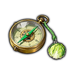 甘藍特製コンパス