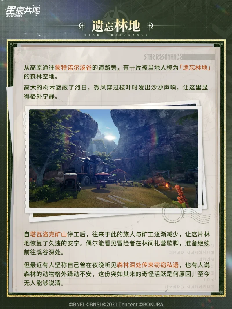 木漏れ日射す林道