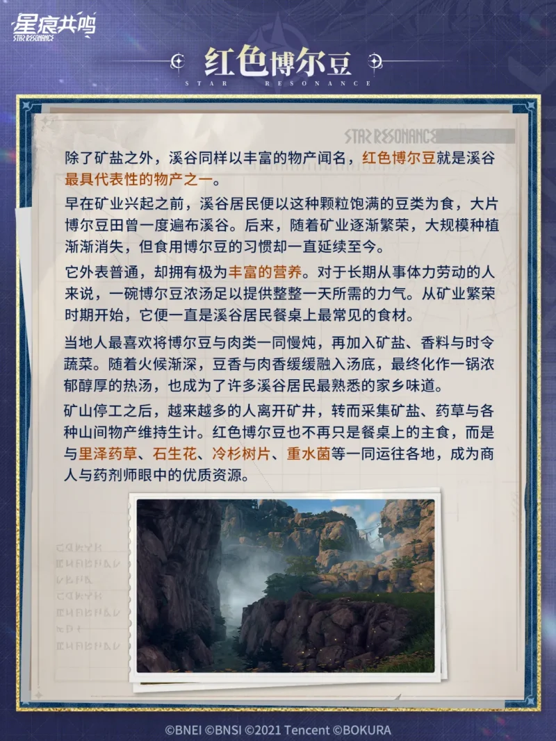赤いボル豆